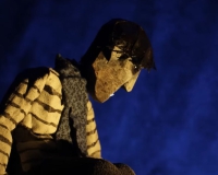 alt image